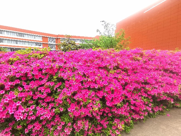image005.jpg